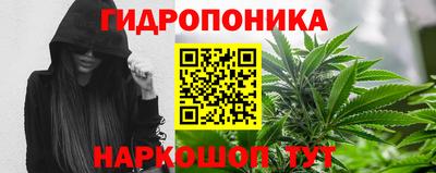 бошки Пенза