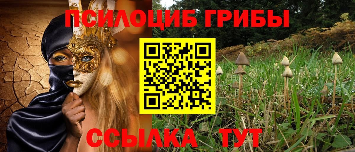 Галлюциногенные грибы Cubensis Псков