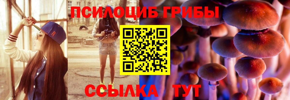 Галлюциногенные грибы GOLDEN TEACHER  Вход с VPN  Галлюциногенные грибы MAGIC MUSHROOMS  Псков 