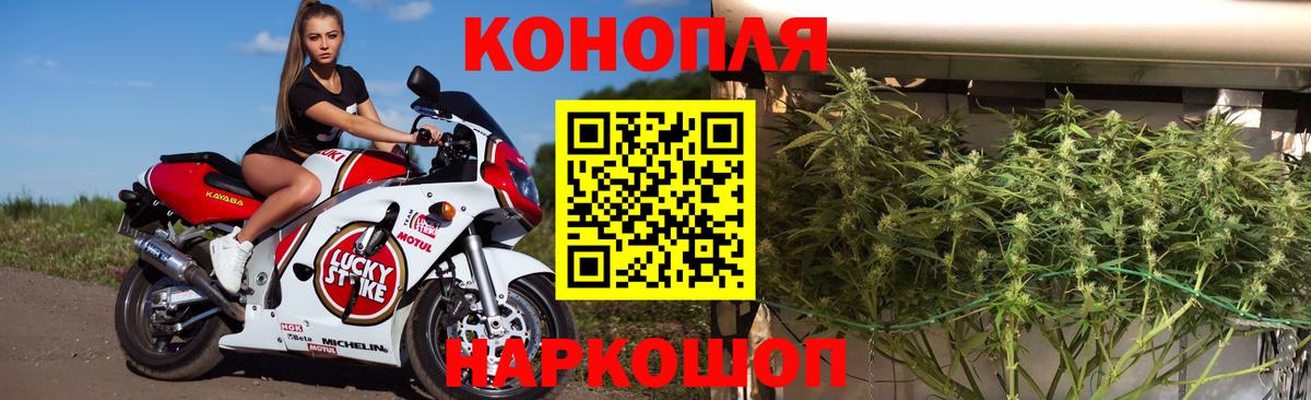 Псков  Марихуана THC 21%  Вход с VPN  Бошки марихуана индика 